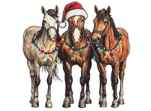 Load image into Gallery viewer, Stockings(over 20 options)-white and black