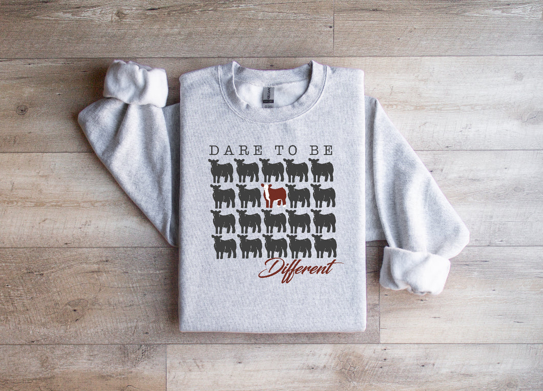 Youth -dare-hereford-  crewneck- multiple colours