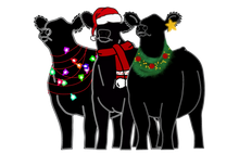 Load image into Gallery viewer, Stockings(over 20 options)-white and black