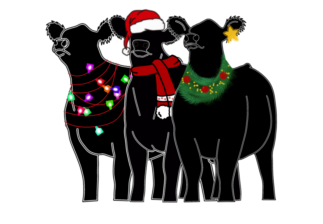 Stockings(over 20 options)-white and black