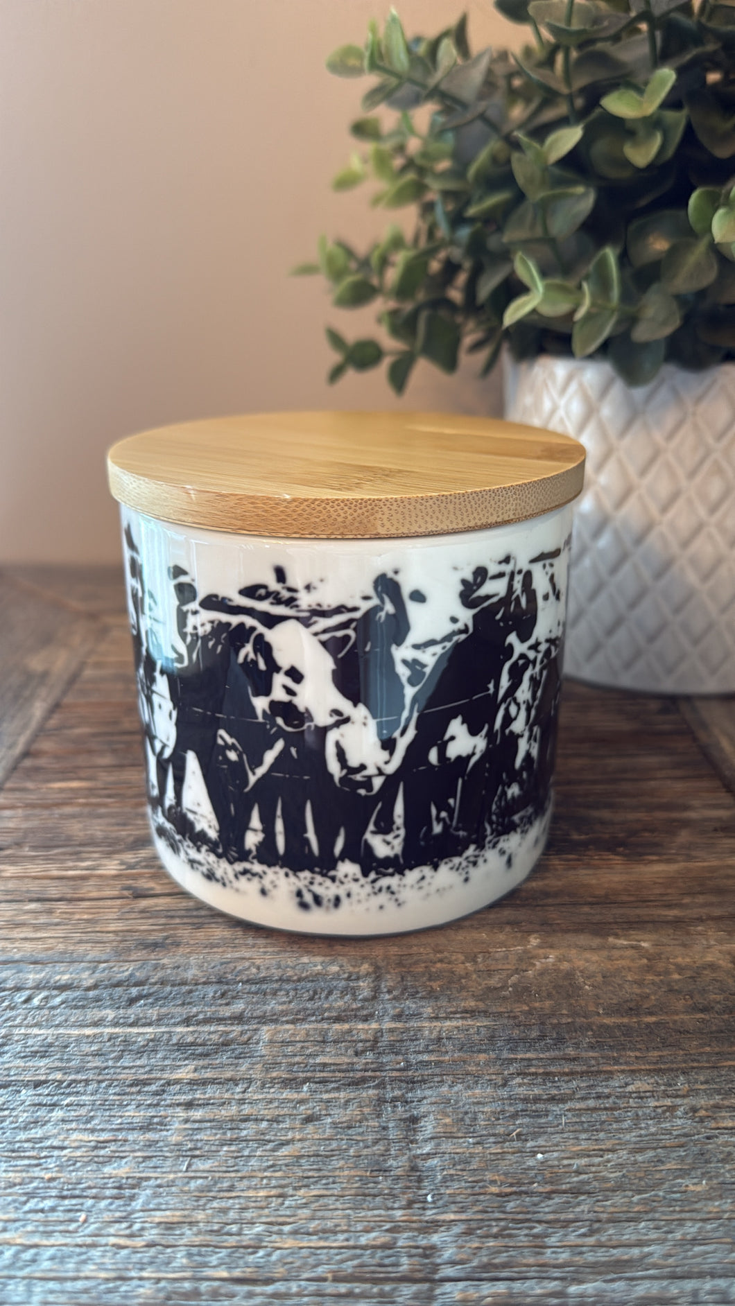 Hereford heifers-small -canister-blemished