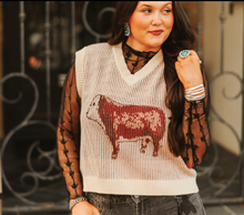 Load image into Gallery viewer, Hereford Highway vest