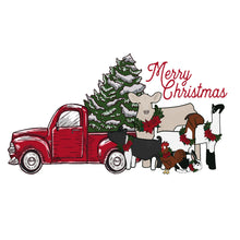 Load image into Gallery viewer, Stockings(over 20 options)-white and black