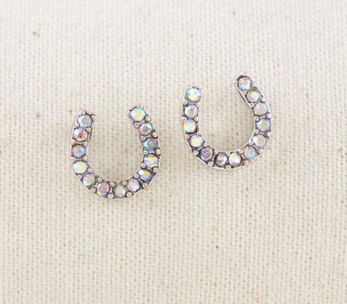 Horse shoe earrings -silver
