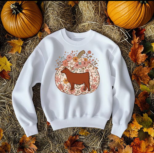 Pumpkin red crewneck  (multiple colours)