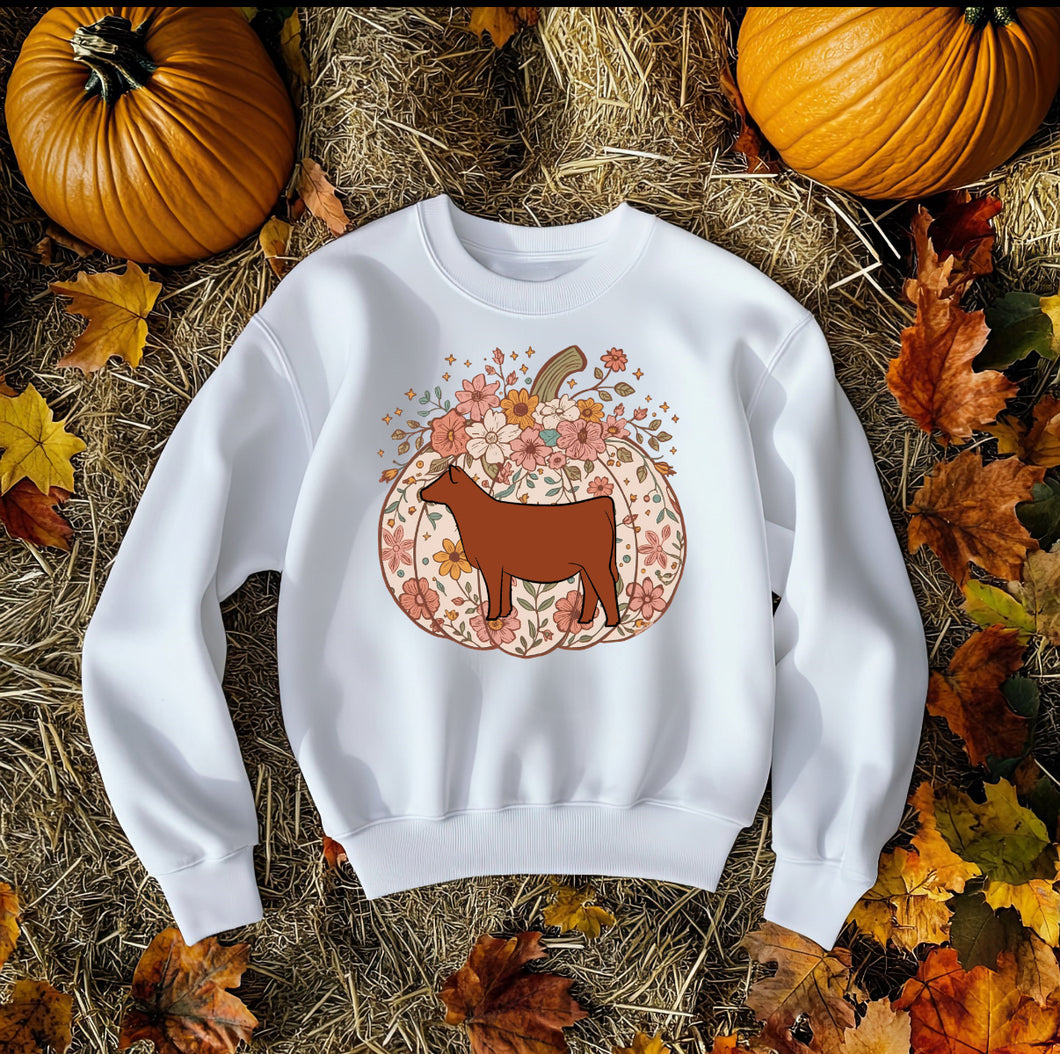 Pumpkin red crewneck  (multiple colours)