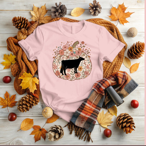 Pumpkin - dairy (multiple colours)