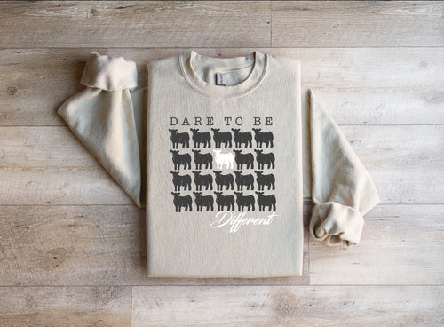 Youth -dare-white-  crewneck- multiple colours