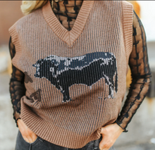 Load image into Gallery viewer, Angus  Highway vest