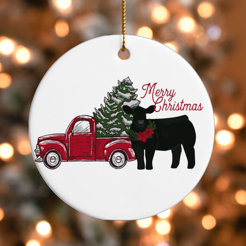 Ornaments (over 20 options)-plastic