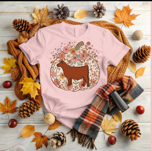 Pumpkin - red (multiple colours)