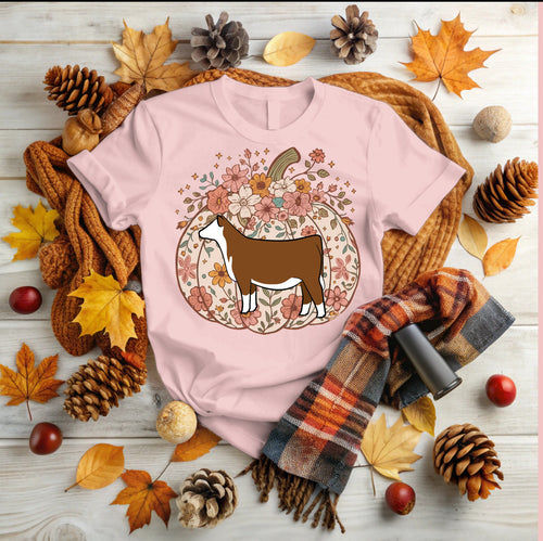 Pumpkin - hereford (multiple colours)