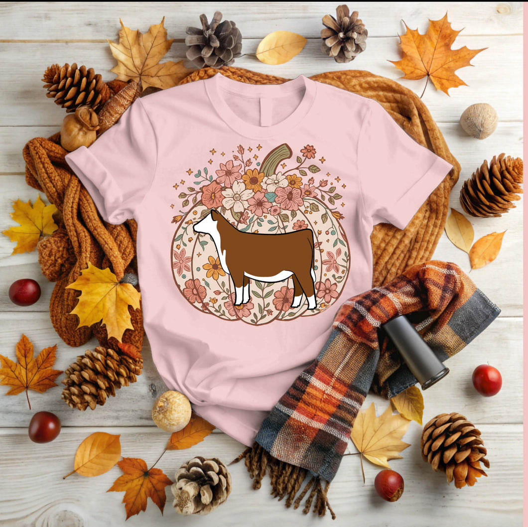 Pumpkin - hereford (multiple colours)