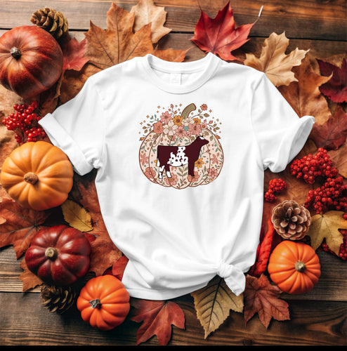 Pumpkin - shorthorn (multiple colours)