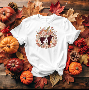 Pumpkin - shorthorn (multiple colours)